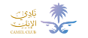 Client 10
