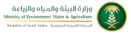 Client 13